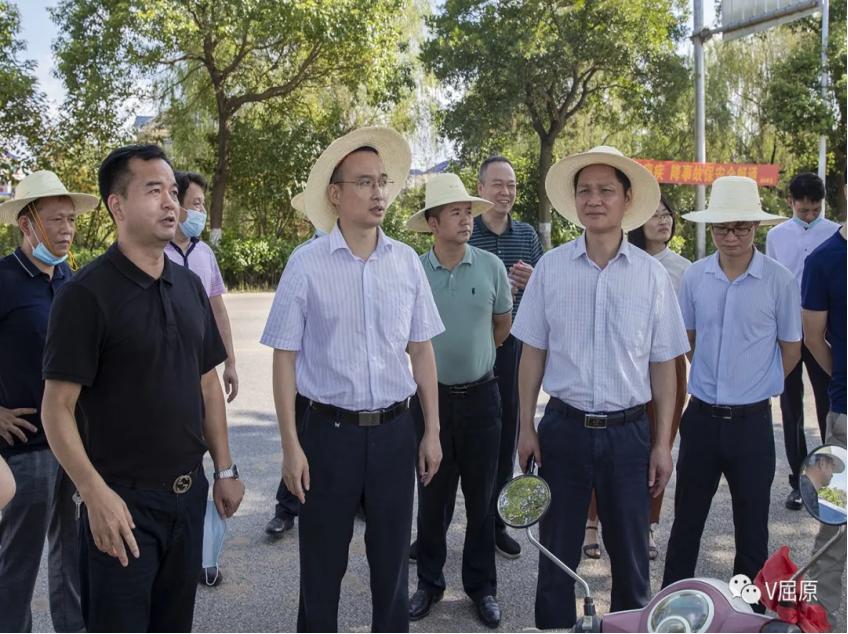 万东调研我区重点项目建设情况