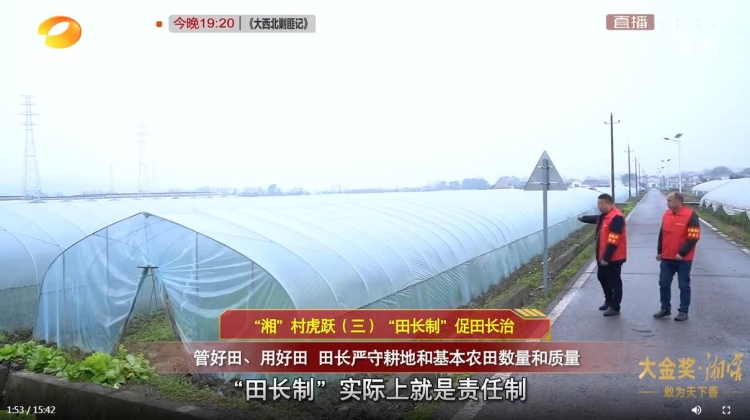 ���ﳤ�ơ����ﳤ��