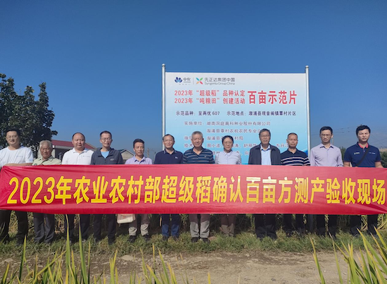 �����ֳ���������