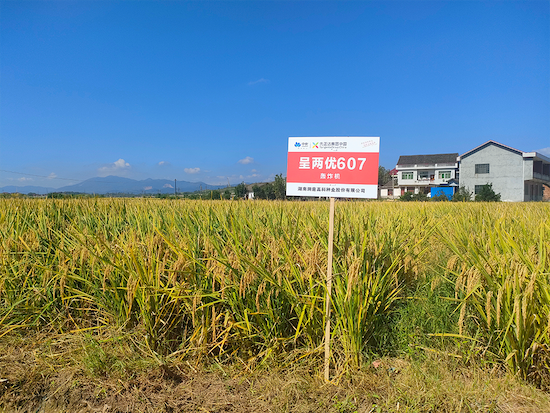 ��������607��ʾ���������