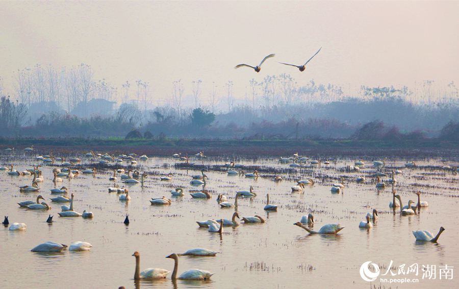 �������ź������輯������������ ������