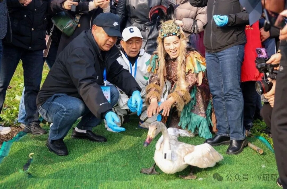 ��ԭ���������ź����С����㱱Ǩ���