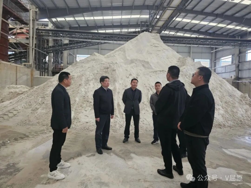 �賯�͸��������̿���